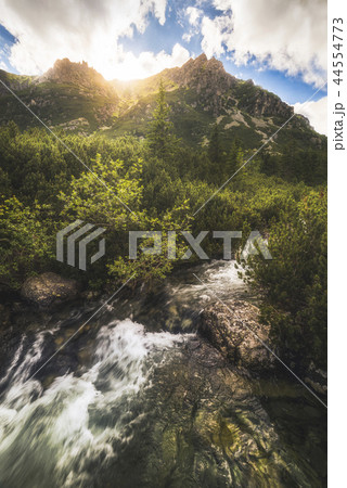 Mountain Scenery Mountain Scenery 44554773