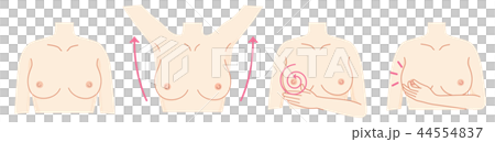 Breast cancer self-examination set Breast cancer self-examination set 44554837