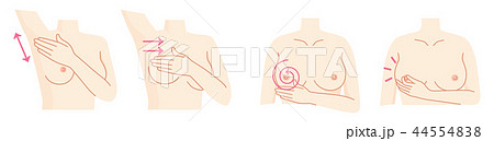 乳がん 自己検診セット 乳がん 自己検診セット 44554838