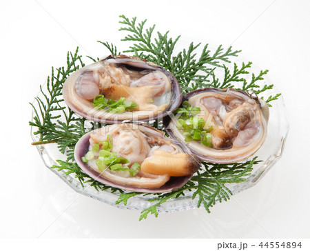 　大アサリ 44554894