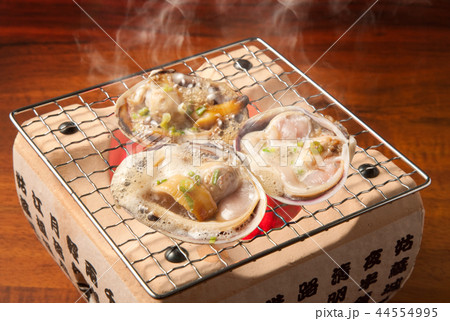 　大アサリ 44554995