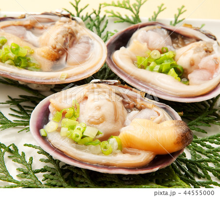 　大アサリ 44555000