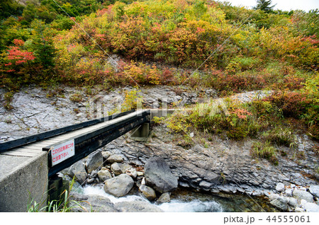 川原毛地獄 秋田県 湯沢市 川原毛地獄 秋田県 湯沢市 44555061