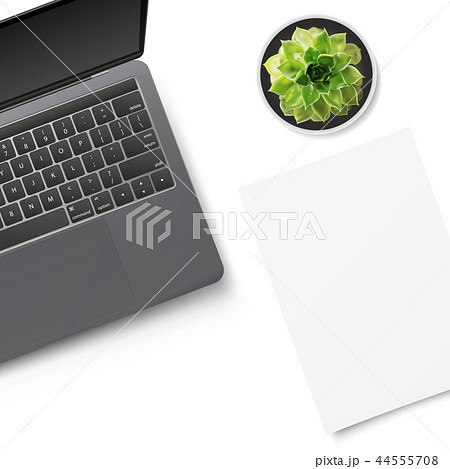 White office desk table with laptop, succulent White office desk table with laptop, succulent 44555708