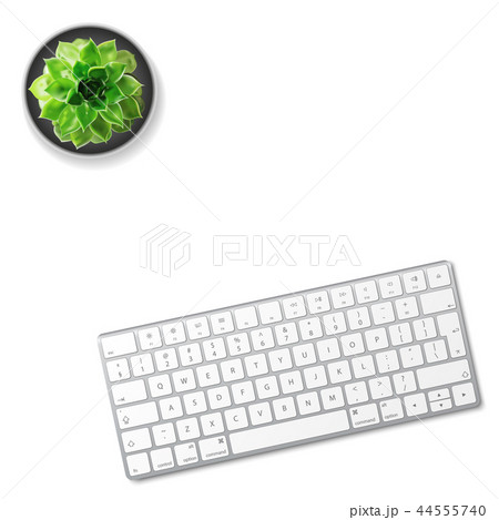Computer keyboard and succulent flower isolated Computer keyboard and succulent flower isolated 44555740