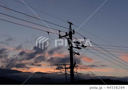 夕方と寂しげな電柱 夕方と寂しげな電柱 44556294