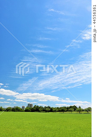 気持ちいい青空の公園 44556361