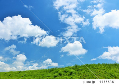 爽やかな夏の青空と草原 44556381