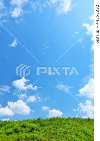 爽やかな夏の青空と草原 爽やかな夏の青空と草原 44556382