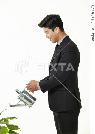 20代 会社員 韓国人 44556775