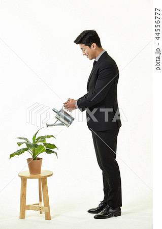 20代 会社員 韓国人 44556777