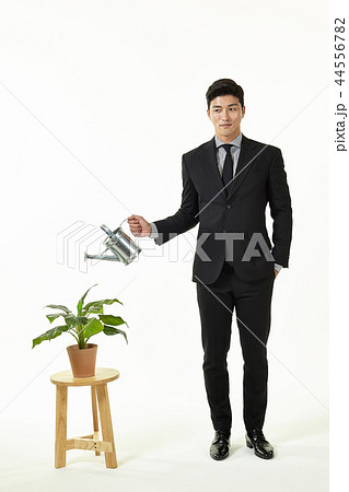 スーツ 正装 20代 44556782