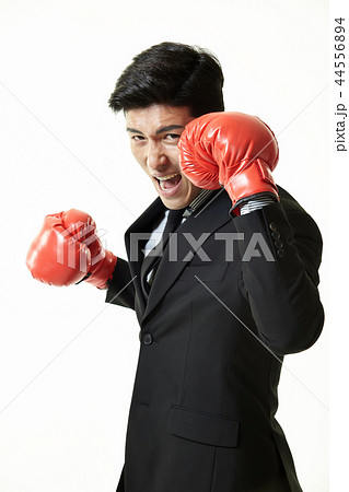 20代 会社員 韓国人 44556894