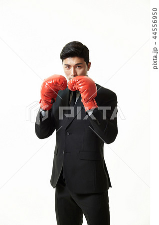 20代 会社員 韓国人 44556950