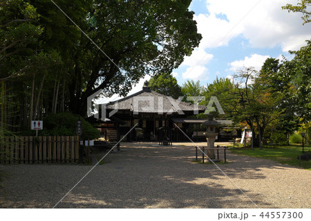 奈良 大安寺 奈良 大安寺 44557300