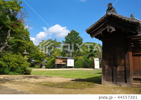奈良　大安寺 44557301