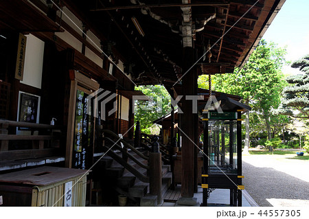 奈良　大安寺 44557305