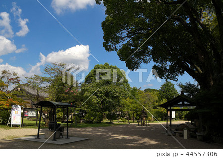 奈良　大安寺 44557306