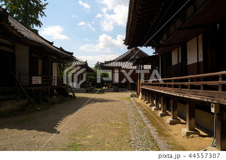 奈良　大安寺 44557307