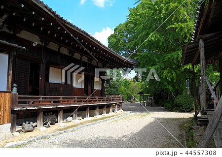 奈良　大安寺 44557308
