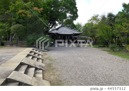 奈良　大安寺 44557312
