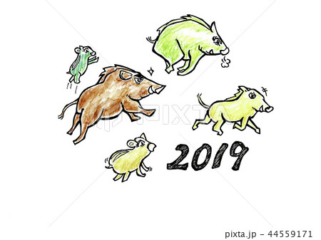 干支　亥年　猪 44559171