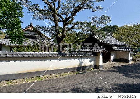 金剛寺 塔頭 金剛寺 塔頭 44559318