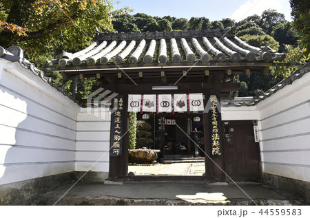 法起院　山門 44559583