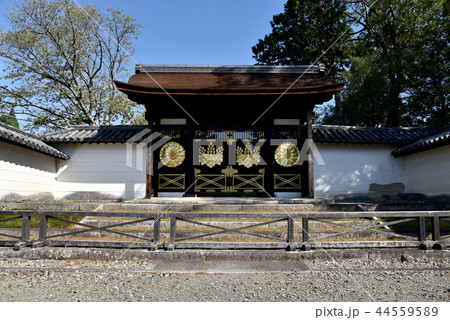 醍醐寺 唐門 醍醐寺 唐門 44559589