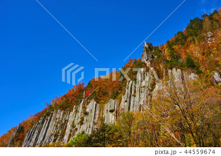 天人峡の紅葉 44559674