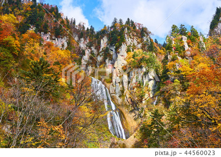 天人峡 羽衣の滝と紅葉 44560023