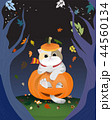 Close up of gray furry cat in scarf sitting inside happy orange pumpkin. 44560134