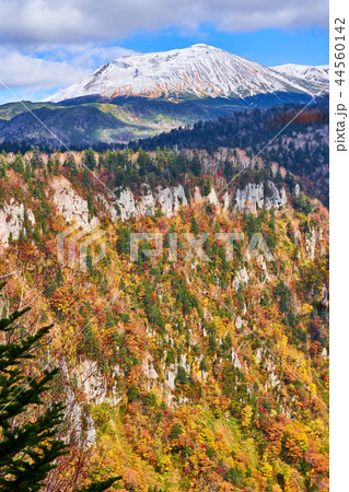 天人峡 滝見台から見る旭岳 44560142