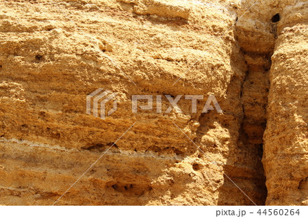 The soil of Ukraine the country of the sun The soil of Ukraine the country of the sun 44560264