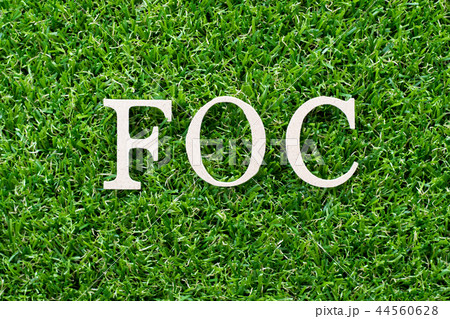 Wood letter in word FOC Wood letter in word FOC 44560628