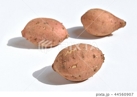 アンノウイモ（安納芋） 44560907