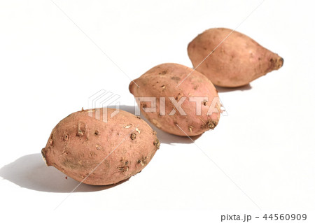 アンノウイモ（安納芋） 44560909