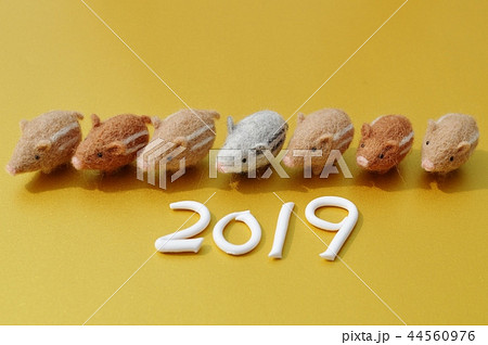 ウリボウのお正月 ウリボウのお正月 44560976