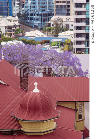 Red City Rooftops Red City Rooftops 44561268