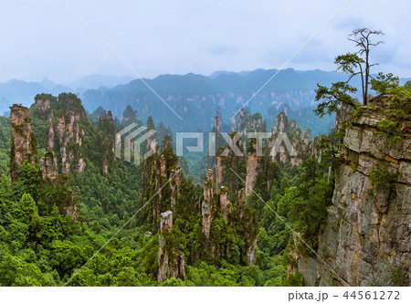 Tianzi Avatar mountains park - Wulingyuan China Tianzi Avatar mountains park - Wulingyuan China 44561272