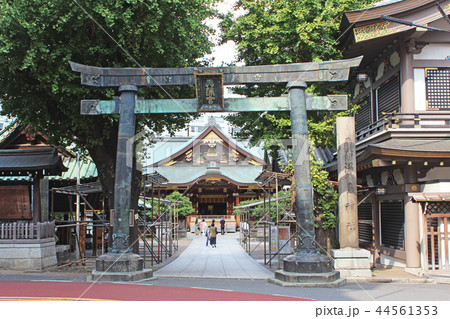 鳥居　湯島天神 44561353