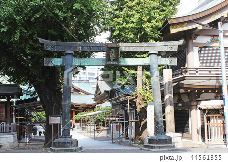 鳥居　湯島天神 44561355