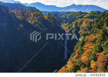 震動の滝 震動の滝 44562850