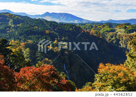 震動の滝 震動の滝 44562852
