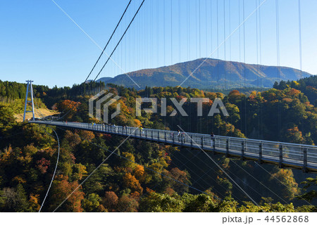 秋の九重夢大吊橋 44562868