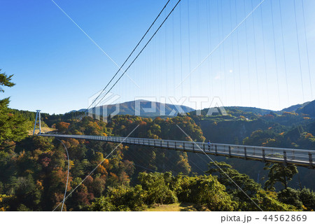 秋の九重夢大吊橋 44562869