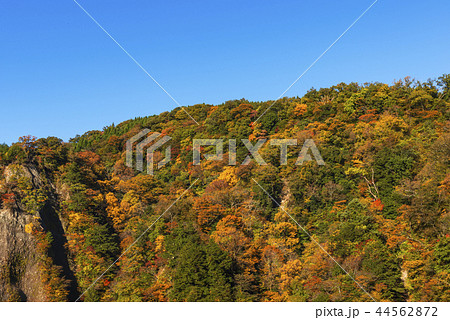 秋の九酔渓 秋の九酔渓 44562872