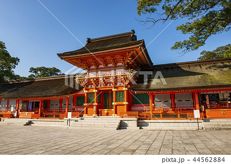宇佐神宮 宇佐神宮 44562884