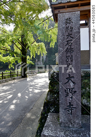 大野寺 大野寺 44563085