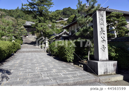 長谷寺 44563599